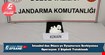 İstanbul’dan Düzce’ye Uyuşturucu Sevkiyatına Operasyon: 2 Şüpheli Tutuklandı