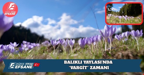 BALIKLI YAYLASI’NDA “VARGİT” ZAMANI