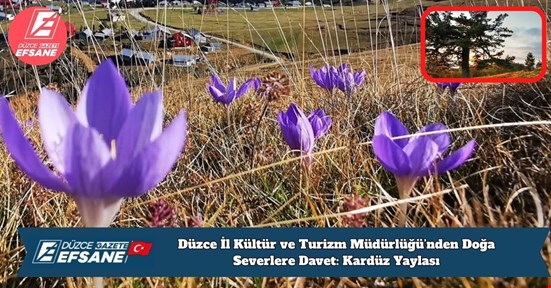 Düzce İl Kültür ve Turizm Müdürlüğü’nden Doğa Severlere Davet: Kardüz Yaylası