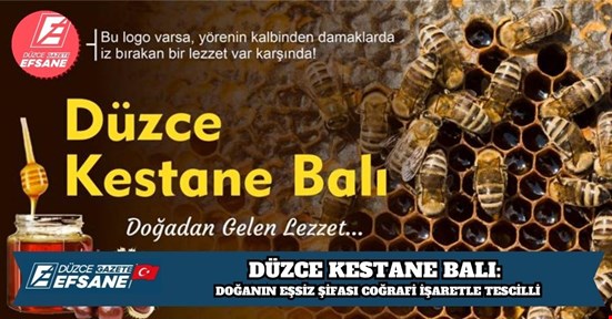 DÜZCE KESTANE BALI: DOĞANIN EŞSİZ ŞİFASI COĞRAFİ İŞARETLE TESCİLLİ