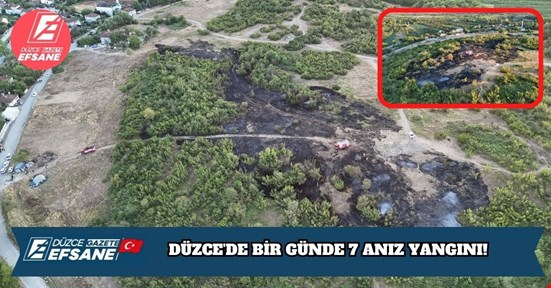 DÜZCE'DE BİR GÜNDE 7 ANIZ YANGINI!