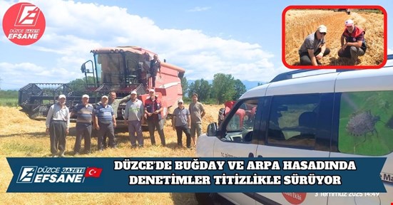 DÜZCE’DE BUĞDAY VE ARPA HASADINDA DENETİMLER TİTİZLİKLE SÜRÜYOR