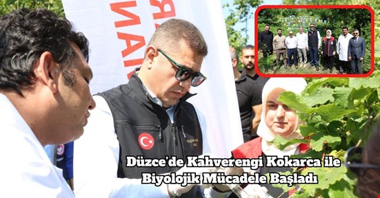 Düzce’de Kahverengi Kokarca ile Biyolojik Mücadele Başladı