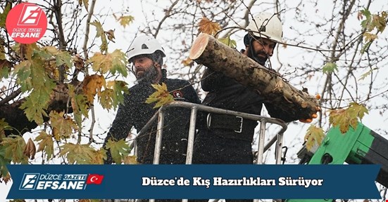 Düzce’de Kış Hazırlıkları Sürüyor: Ağaçlar Hem Güvenlik Hem Sağlık İçin Budanıyor