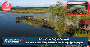 Düzce’nin Doğal Cenneti, 150’den Fazla Kuş Türüne Ev Sahipliği Yapıyor