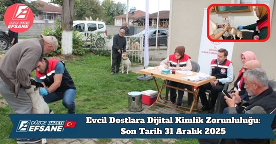 Evcil Dostlara Dijital Kimlik Zorunluluğu: Son Tarih 31 Aralık 2025