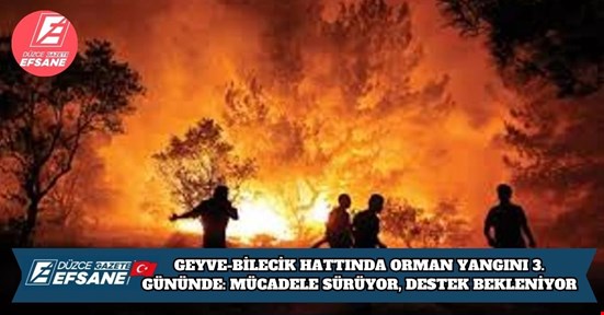 GEYVE-BİLECİK HATTINDA ORMAN YANGINI 3. GÜNÜNDE: MÜCADELE SÜRÜYOR, DESTEK BEKLENİYOR