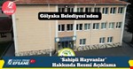 Gölyaka Belediyesi’nden “Sahipli Hayvanlar” Hakkında Resmî Açıklama