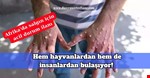 Hem hayvanlardan hem de insanlardan bulaşıyor!