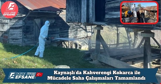 Kaynaşlı’da Kahverengi Kokarca ile Mücadele Saha Çalışmaları Tamamlandı