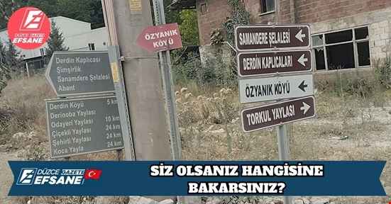 SİZ OLSANIZ HANGİSİNE BAKARSINIZ?