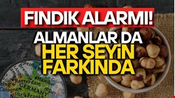 ALMANLAR BİLE İŞİN FARKINDA..!