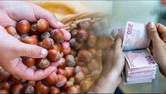 FINDIK REKORA DOĞRU GİDİYOR