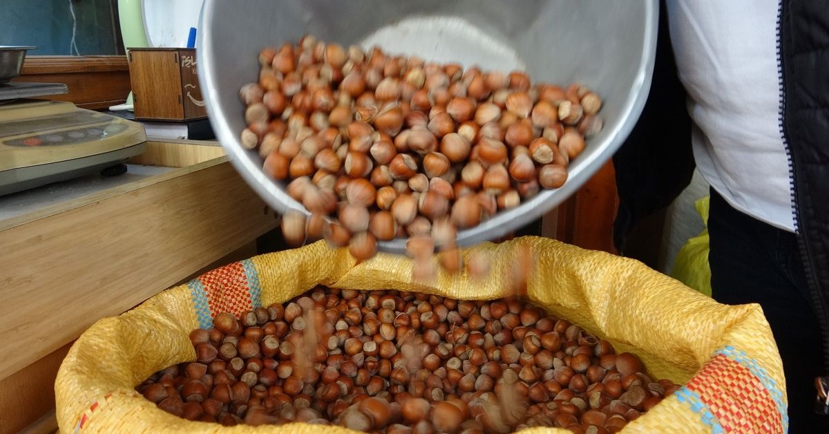 AB ÜLKELERİNE 4 BİN 452 TON FINDIK İHRAÇ EDİLDİ