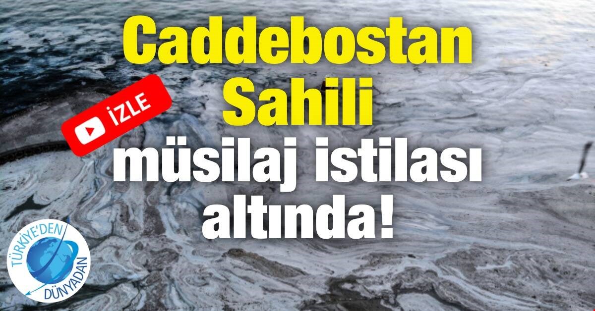Caddebostan Sahili müsilaj istilası altında!