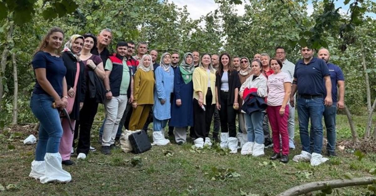 Fındıkta verim ve kalite arttırılacak