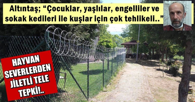 Hayvanseverlerden jiletli tele tepki!.. Altıntaş yetkilileri göreve çağırdı..