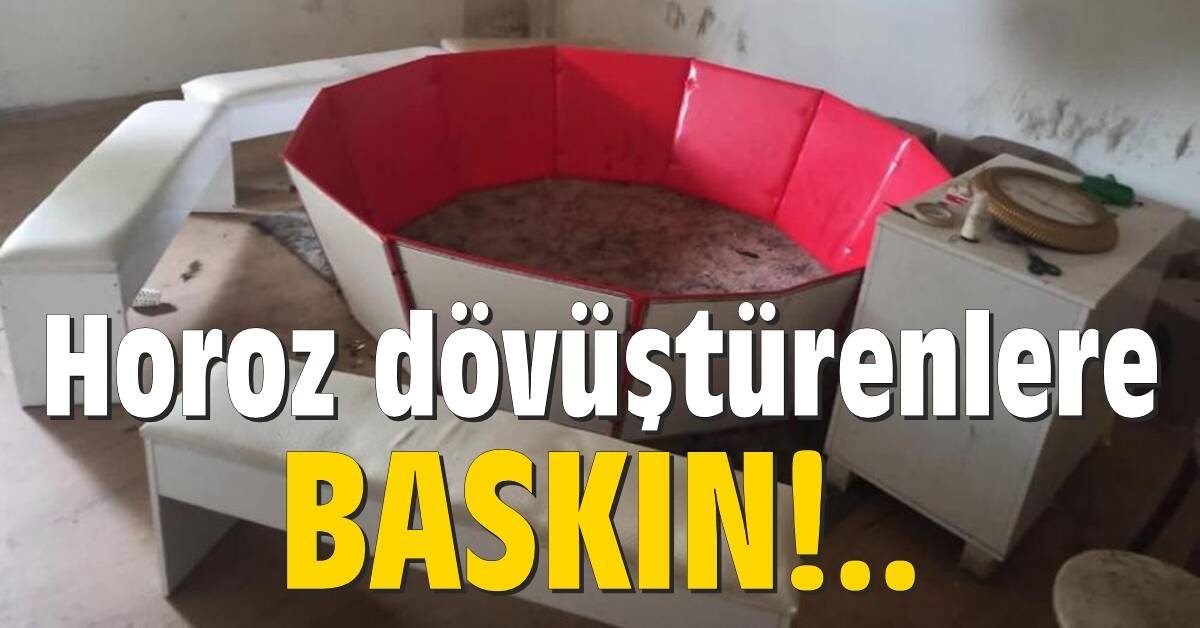 Horoz dövüştürenlere baskın!