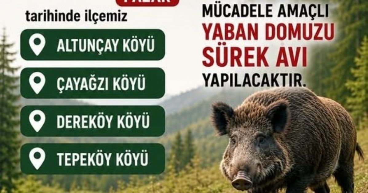 AKÇAKOCA’DA DOMUZ AVI YAPILACAK