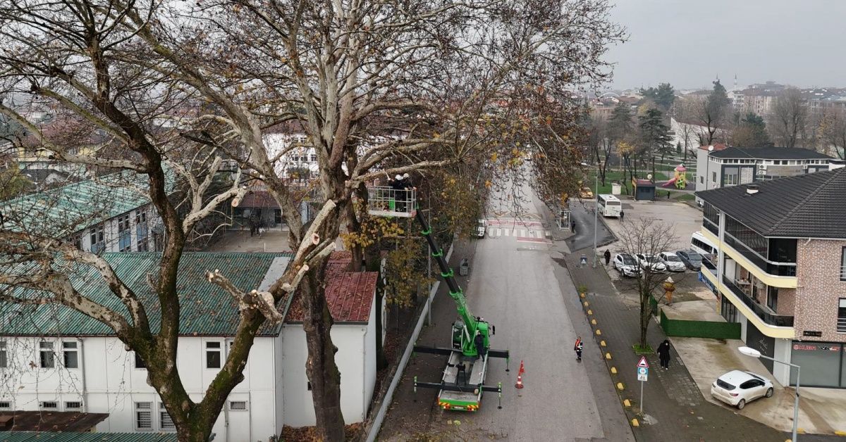 KIŞ ÖNCESİ AĞAÇ BUDAMA ÇALIŞMALARI BAŞLADI