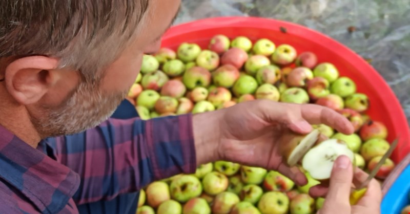 Marketlerde satılan sirkelere kızınca kendi sirkesini yaptı!