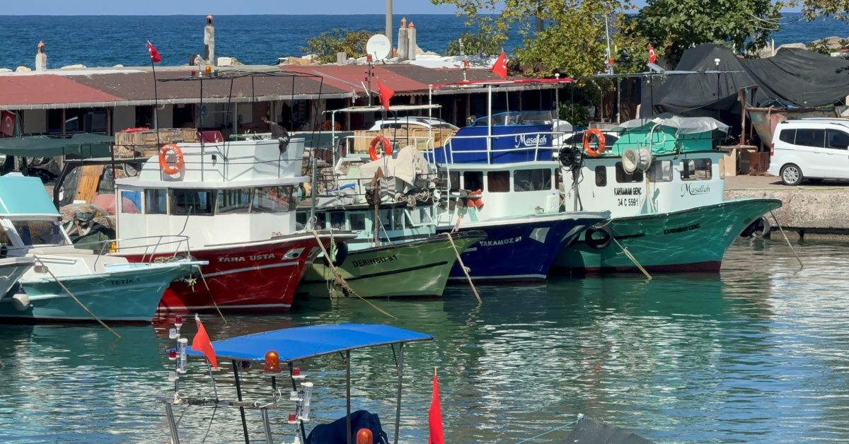 Palamut yok, balıkçıların gözü hamsiye çevrildi