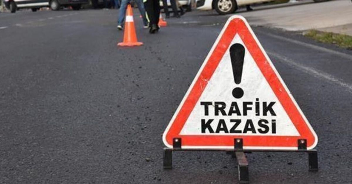 Tomruk yüklü tır 50 metreden uçtu: 1 yaralı