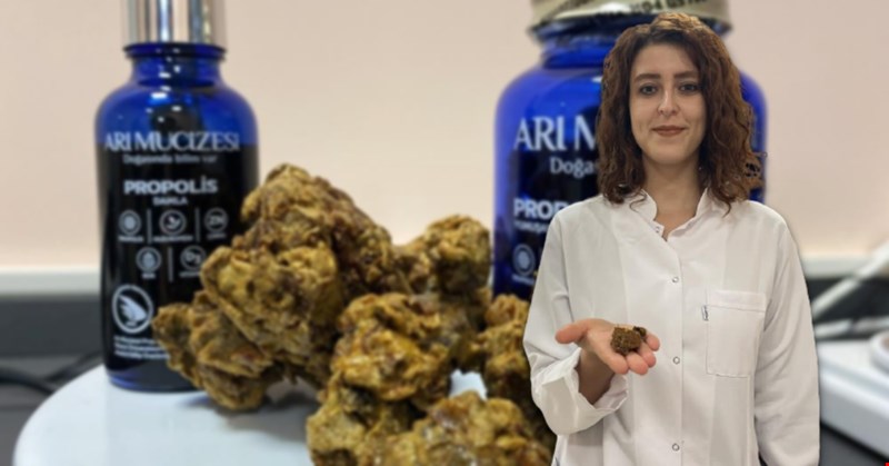Yüzyıllardır kullanılan propolis akademik ellerde zenginleşiyor!