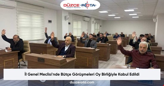 İl Genel Meclisi'nde Bütçe Görüşmeleri Oy Birliğiyle Kabul Edildi