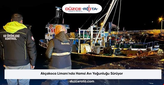 Akçakoca Limanı'nda Hamsi Avı Yoğunluğu Sürüyor