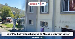 Çilimli'de Kahverengi Kokarca ile Mücadele Devam Ediyor