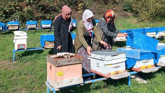 Çukurören Köyünde 2025 Arılı Kovan Sayımı Yapıldı