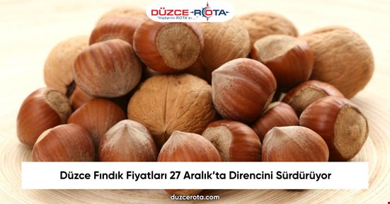 Düzce Fındık Fiyatları 27 Aralık’ta Direncini Sürdürüyor
