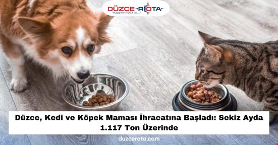 Düzce, Kedi ve Köpek Maması İhracatına Başladı: Sekiz Ayda 1.117 Ton Üzerinde