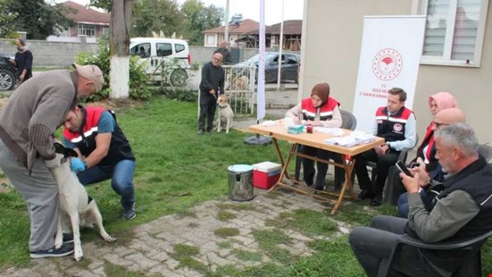 Düzce'de 13 Binden Fazla Kedi ve Köpek Mikroçip ile Kayıt Altına Alındı