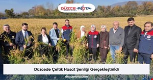 Düzcede Çeltik Hasat Şenliği Gerçekleştirildi