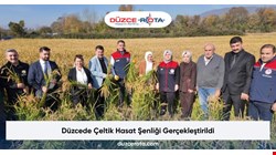 Düzcede Çeltik Hasat Şenliği Gerçekleştirildi