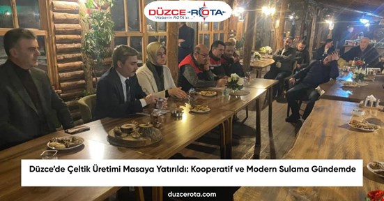 Düzce’de Çeltik Üretimi Masaya Yatırıldı: Kooperatif ve Modern Sulama Gündemde