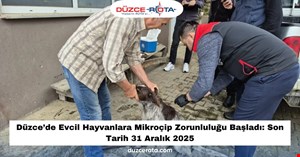 Düzce’de Evcil Hayvanlara Mikroçip Zorunluluğu Başladı: Son Tarih 31 Aralık 2025
