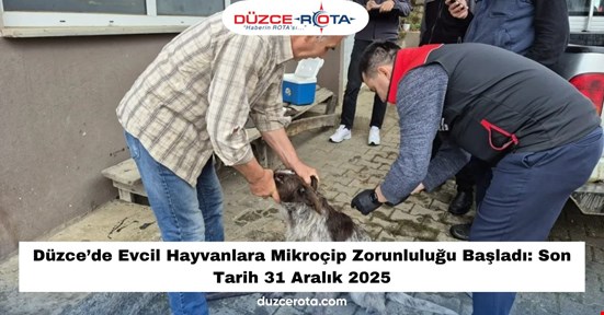Düzce’de Evcil Hayvanlara Mikroçip Zorunluluğu Başladı: Son Tarih 31 Aralık 2025
