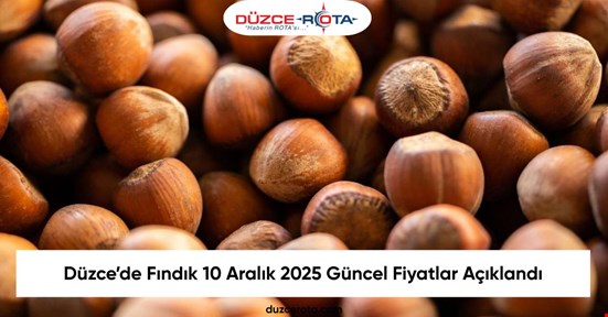 Düzce’de Fındık 10 Aralık 2025 Güncel Fiyatlar Açıklandı
