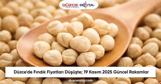 Düzce'de Fındık Fiyatları Düşüşte; 19 Kasım 2025 Güncel Rakamlar