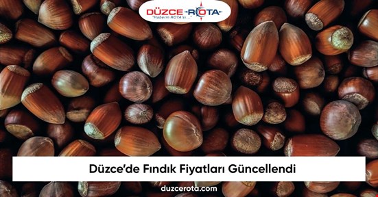 Düzce’de Fındık Fiyatları Güncellendi