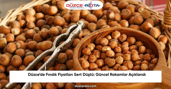 Düzce’de Fındık Fiyatları Sert Düştü: Güncel Rakamlar Açıklandı