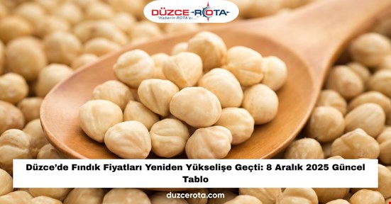Düzce’de Fındık Fiyatları Yeniden Yükselişe Geçti: 8 Aralık 2025 Güncel Tablo