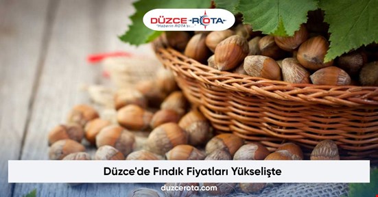 Düzce'de Fındık Fiyatları Yükselişte