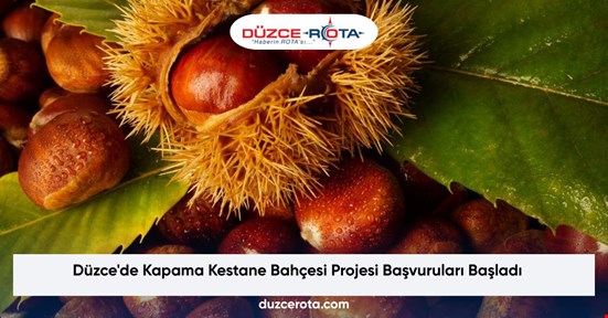 Düzce'de Kapama Kestane Bahçesi Projesi Başvuruları Başladı