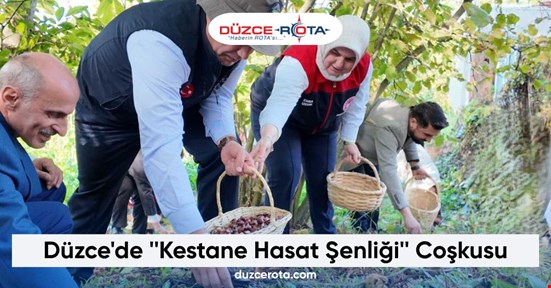 Düzce'de ''Kestane Hasat Şenliği'' Coşkusu