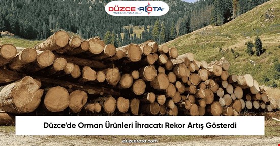 Düzce’de Orman Ürünleri İhracatı Rekor Artış Gösterdi