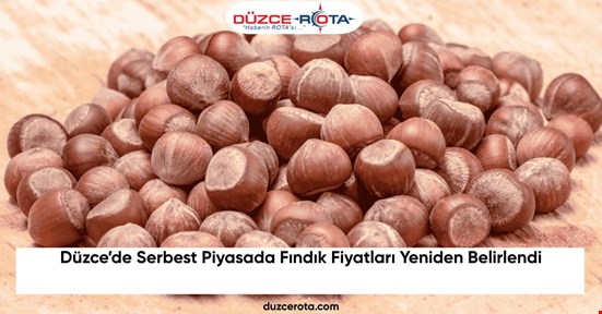 Düzce’de Serbest Piyasada Fındık Fiyatları Yeniden Belirlendi